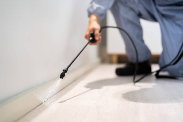 Licensed Pest Control service in Lanham, MD - Show Me Pest Control