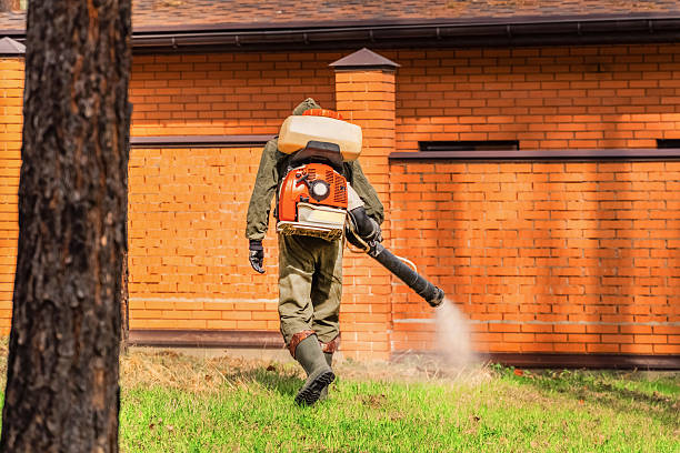 Bed Bug Clearance Verification and Documentation in Lanham